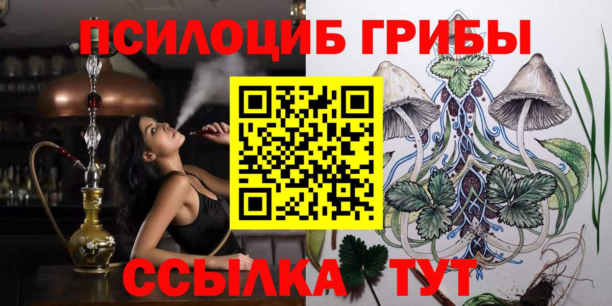 Псилоцибиновые грибы мицелий Тимашёвск