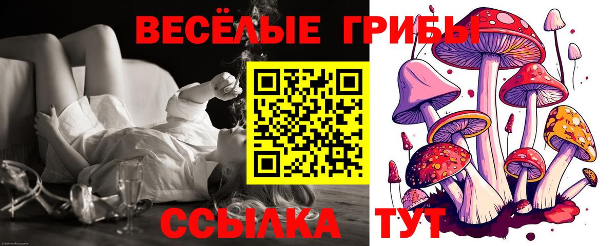Тимашёвск  Псилоцибиновые грибы Cubensis  Вход с VPN 